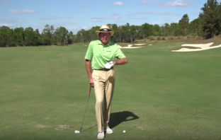 David Leadbetter