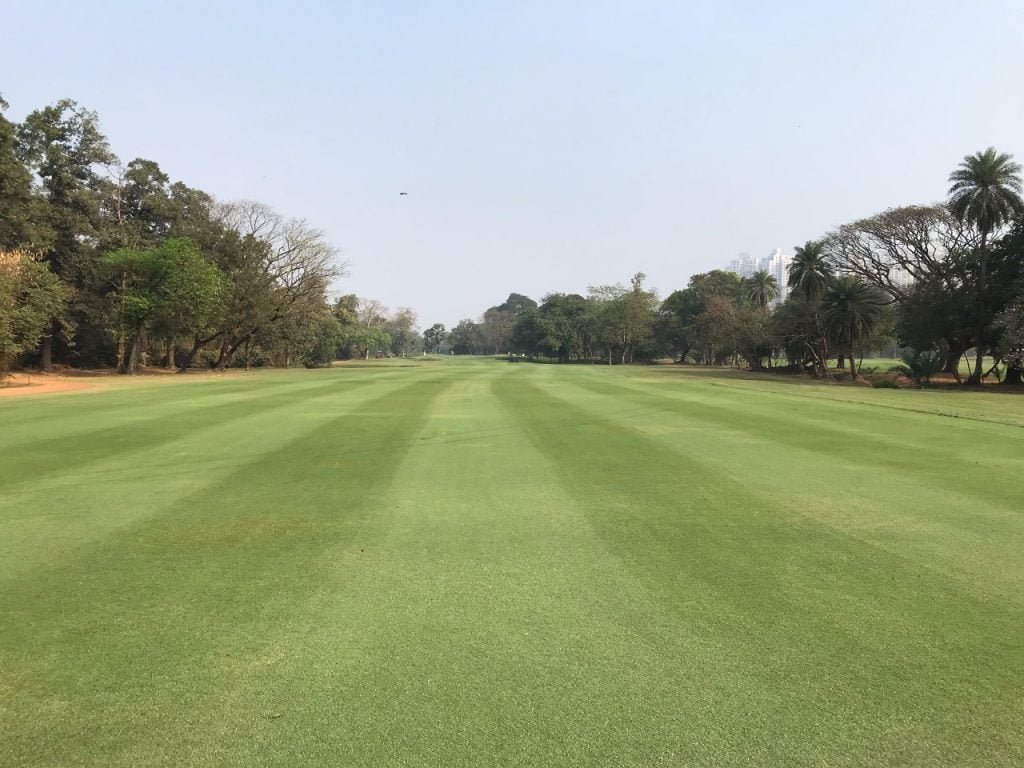 Fairway No.8 at RCGC