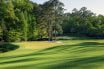 Hole No. 11 at Augusta National